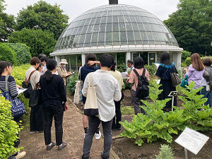薬用植物園実習の様子の3